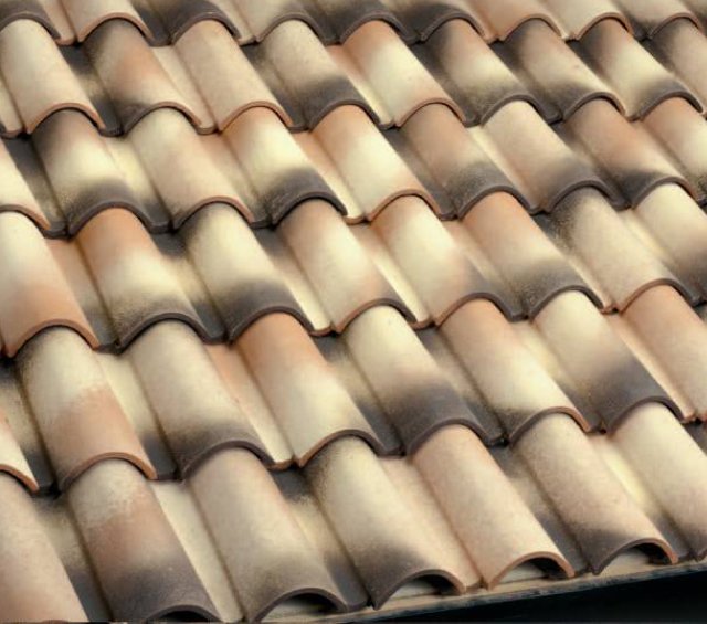 Coppopiù Saint Tropez