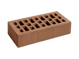 Testa di Moro Rigato 5,5x12x25