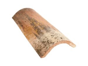 Coppo Sardo Rinascimento