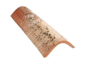 Coppo Alpino Rustico Veneto