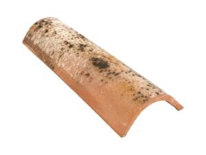 Coppo Piccolo Rinascimento